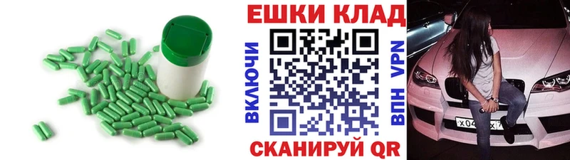 купить   Западная Двина  Ecstasy Philipp Plein 