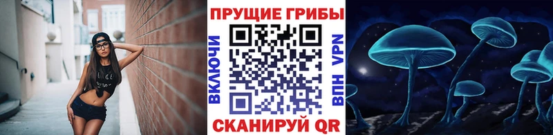 Псилоцибиновые грибы ЛСД Западная Двина